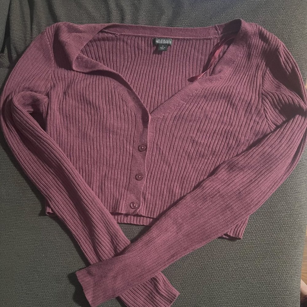 Wild fable knit cropped sweater